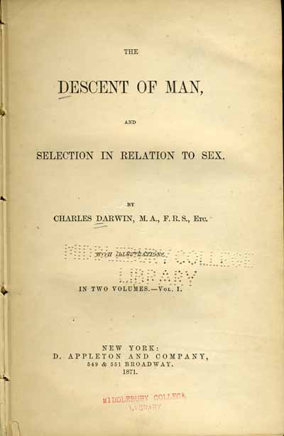 descen of man